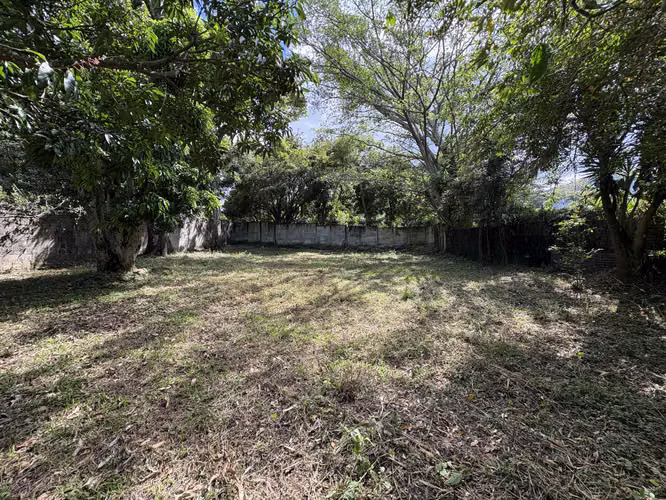 Escazú Diagonal al Novillo Alegre, Precioso Lote #460