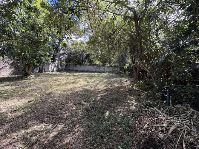 Escazú Diagonal al Novillo Alegre, Precioso Lote #460