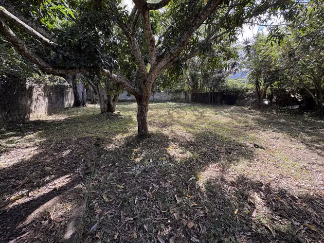 Escazú Diagonal al Novillo Alegre, Precioso Lote #460