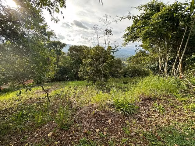 Lote de 3138m2 is el ultimo lote disponible en la comunidad - Imagen 3