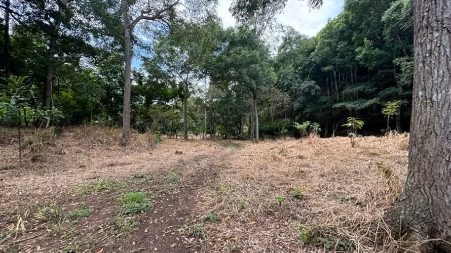 Nuevos lotes de primera calidad en la comunidad privada de Las Rocas - Imagen 12