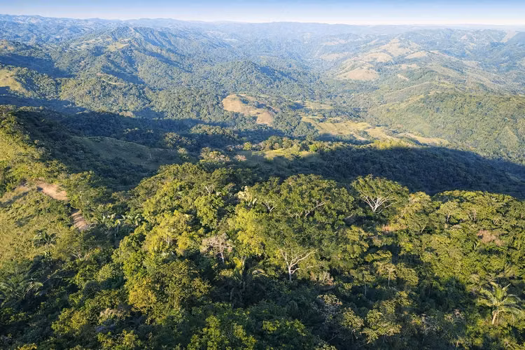 ESPECTACULAR FINCA EN VENTA – NOSARA, GUANACASTE, COSTA RICA - Imagen 9