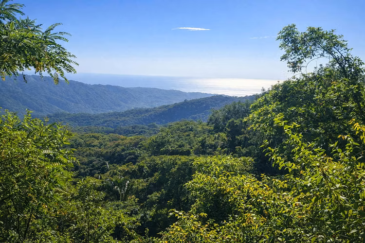 ESPECTACULAR FINCA EN VENTA – NOSARA, GUANACASTE, COSTA RICA - Imagen 8