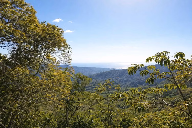 ESPECTACULAR FINCA EN VENTA – NOSARA, GUANACASTE, COSTA RICA - Imagen 7