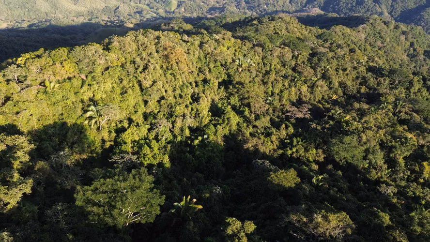 ESPECTACULAR FINCA EN VENTA – NOSARA, GUANACASTE, COSTA RICA - Imagen 2