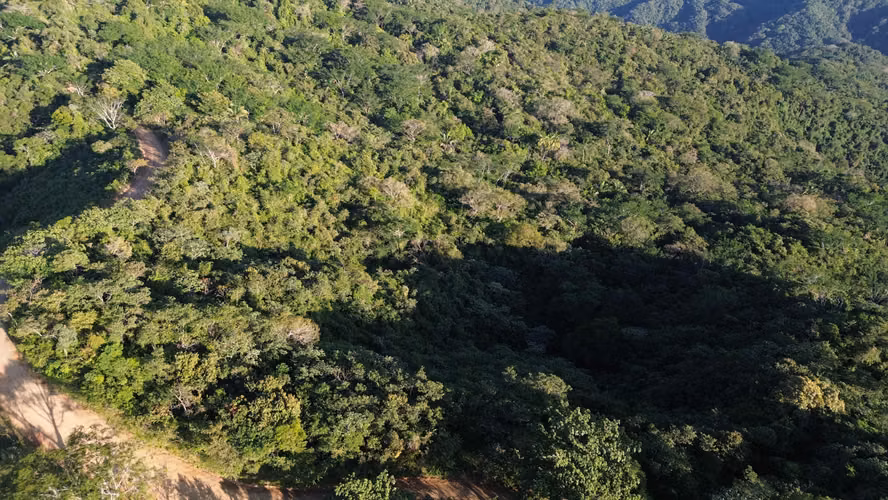 ESPECTACULAR FINCA EN VENTA – NOSARA, GUANACASTE, COSTA RICA - Imagen 4