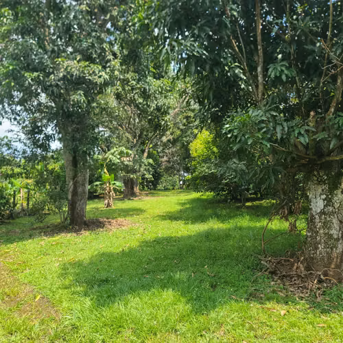 PROPIEDAD DE 2783 M2 CON CASA DE 400 M2 EN OROTINA
