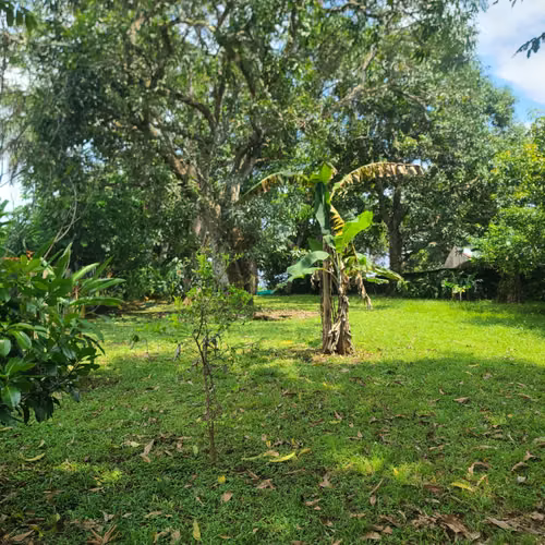 PROPIEDAD DE 2783 M2 CON CASA DE 400 M2 EN OROTINA