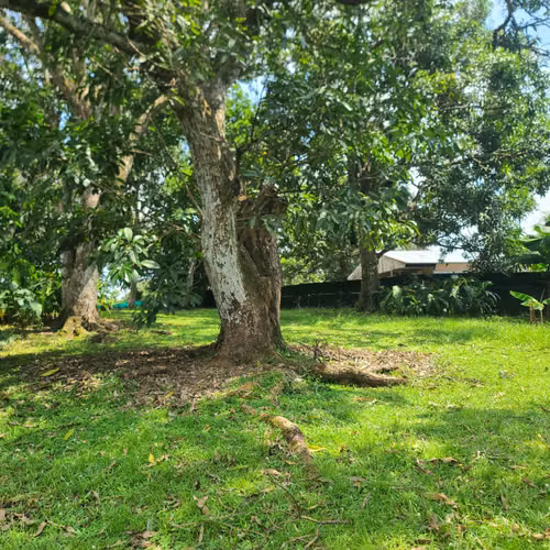 PROPIEDAD DE 2783 M2 CON CASA DE 400 M2 EN OROTINA