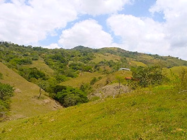 CIUDAD COLON, 22,420m² Con VISTA, Bien Ubicado DE OPORTUNIDAD! - Imagen 12