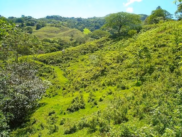CIUDAD COLON, 22,420m² Con VISTA, Bien Ubicado DE OPORTUNIDAD! - Imagen 5