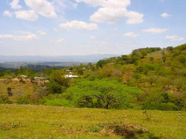 CIUDAD COLON, 22,420m² Con VISTA, Bien Ubicado DE OPORTUNIDAD! - Imagen 10