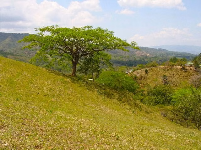 CIUDAD COLON, 22,420m² Con VISTA, Bien Ubicado DE OPORTUNIDAD! - Imagen 9