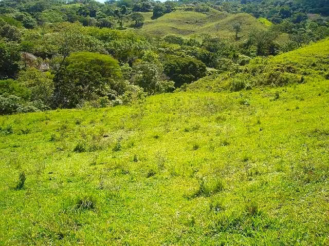 CIUDAD COLON, 22,420m² Con VISTA, Bien Ubicado DE OPORTUNIDAD! - Imagen 11