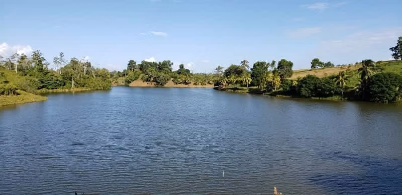 SU PARAÍSO TROPICAL: PRECIOSAS QUINTAS FRENTE AL LAGO CUTRIS - Imagen 9