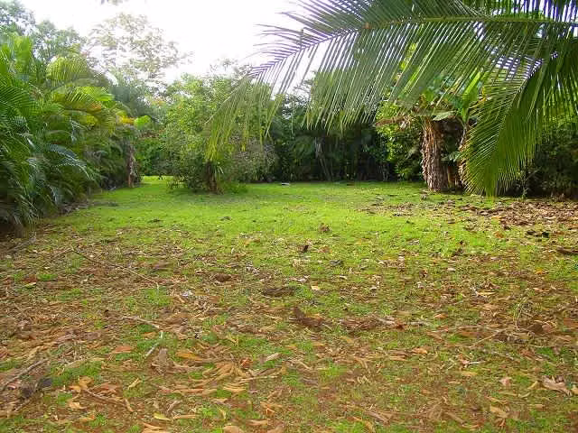 SU PARAÍSO TROPICAL: PRECIOSAS QUINTAS FRENTE AL LAGO CUTRIS - Imagen 6