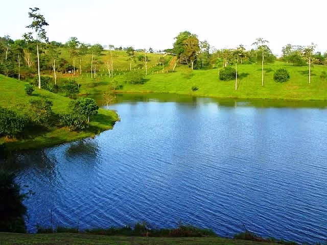 SU PARAÍSO TROPICAL: PRECIOSAS QUINTAS FRENTE AL LAGO CUTRIS - Imagen 8