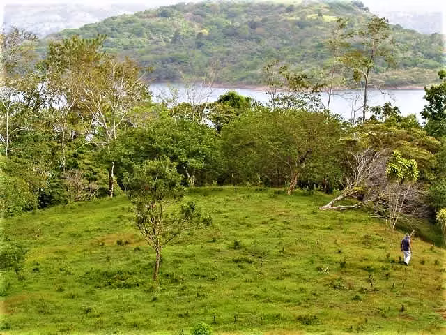 4.9 Hect. FRENTE AL LAGO ARENAL, INMEJORABLE, REBAJADA!