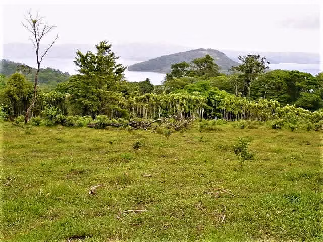 4.9 Hect. FRENTE AL LAGO ARENAL, INMEJORABLE, REBAJADA!