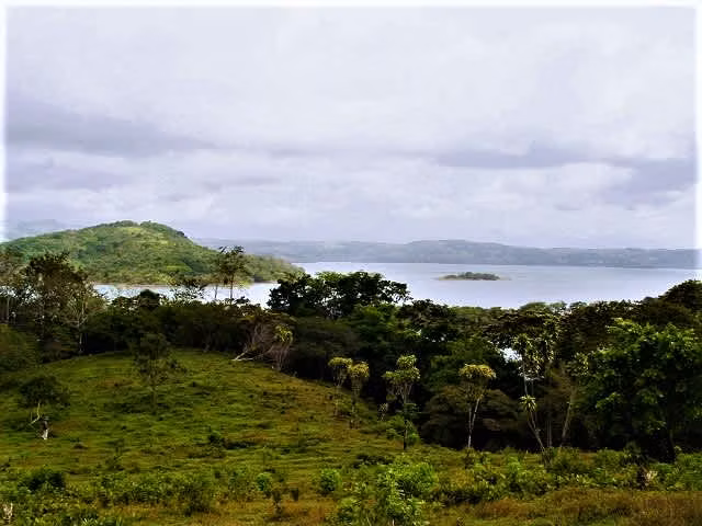 4.9 Hect. FRENTE AL LAGO ARENAL, INMEJORABLE, REBAJADA!