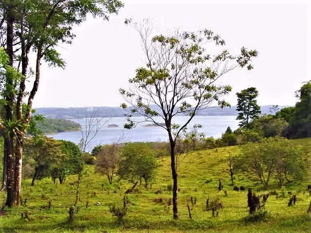 4.9 Hect. FRENTE AL LAGO ARENAL, INMEJORABLE, REBAJADA!