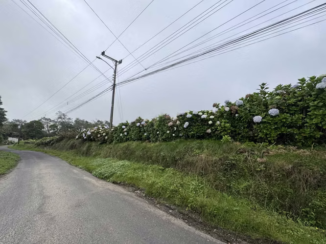 Terreno en venta en Las Nubes de Coronado 2 .1 hectareas - Imagen 7