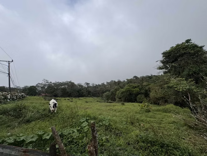 Terreno en venta en Las Nubes de Coronado 2 .1 hectareas - Imagen 5