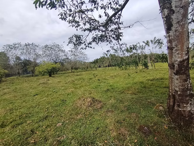 Quintas - Imagen 3