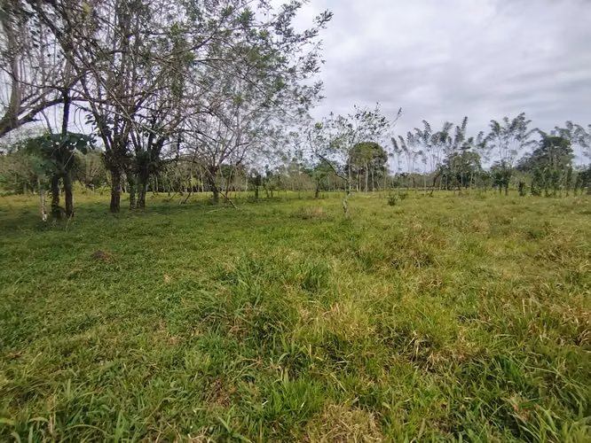 Quintas - Imagen 14