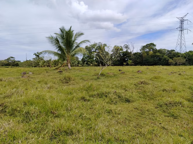 Quintas - Imagen 15