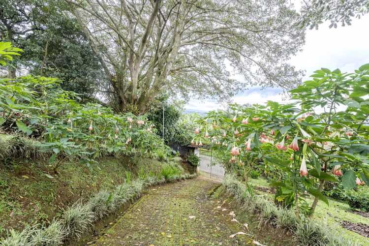 Propiedad en Venta Poas Alajuela
