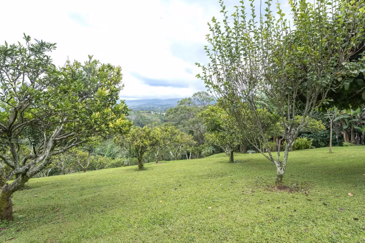 Propiedad en Venta Poas Alajuela