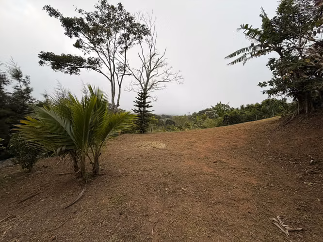 Venta de terreno en San Isidro de San Ramón, Alajuela