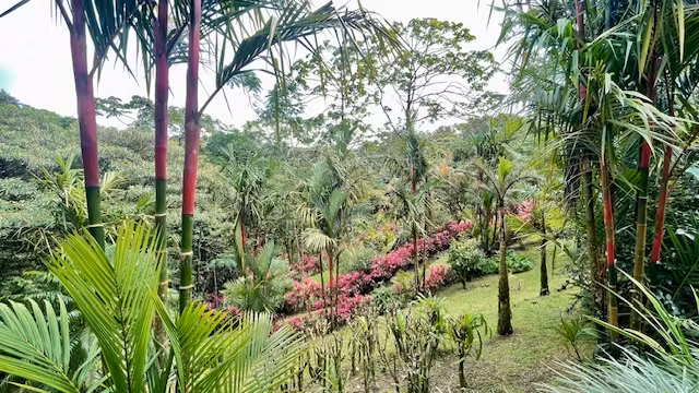 Casa con Vista al Lago y Volcán Arenal: Jardín con Senderos Privados, Seguridad, Gimnasio