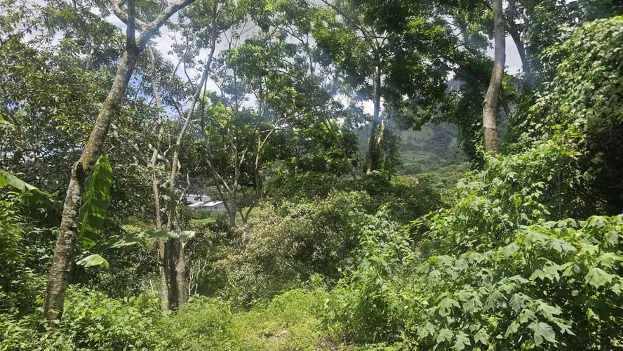 VENTA LOTE HERMOSAS VISTAS EN SAN ANTONIO, ESCAZU, 5540M2