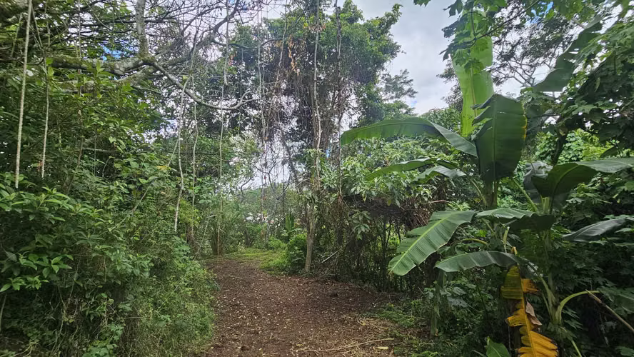 VENTA LOTE HERMOSAS VISTAS EN SAN ANTONIO, ESCAZU, 5540M2