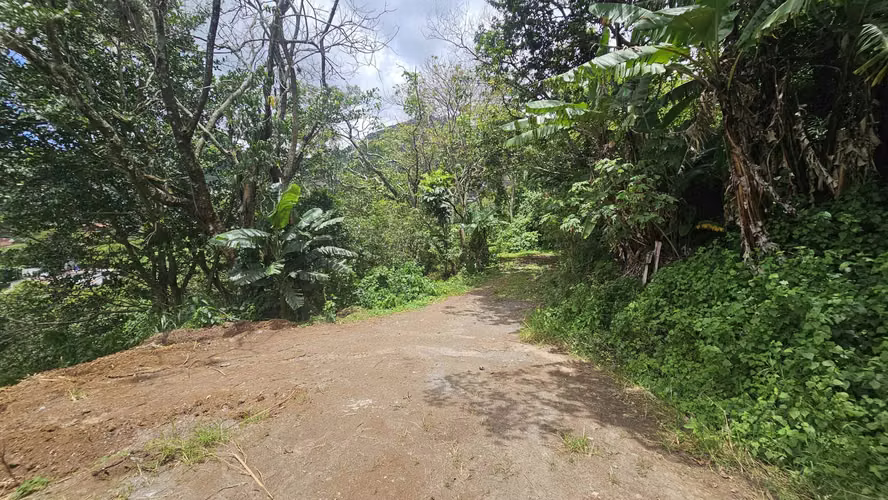 VENTA LOTE HERMOSAS VISTAS EN SAN ANTONIO, ESCAZU, 5540M2