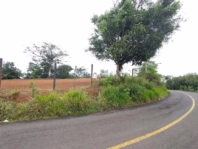 TERRENO CON VISTA PANORÁMICA EN VENTA, SAN RAMÓN, ALAJUELA - Imagen 3