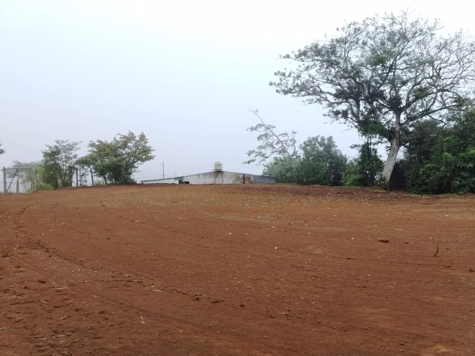 TERRENO CON VISTA PANORÁMICA EN VENTA, SAN RAMÓN, ALAJUELA - Imagen 2