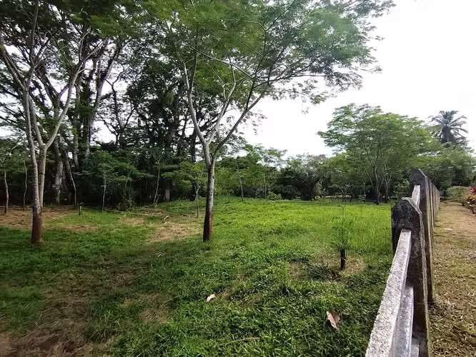 QUINTAS EN VENTA EN RÍO FRÍO,SARAPIQUI, VIVE EN ARMONÍA CON LA NATURALEZA! - Imagen 4