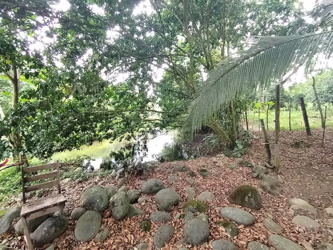 QUINTAS EN VENTA EN RÍO FRÍO,SARAPIQUI, VIVE EN ARMONÍA CON LA NATURALEZA! - Imagen 8