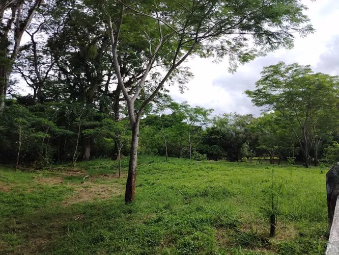 QUINTAS EN VENTA EN RÍO FRÍO,SARAPIQUI, VIVE EN ARMONÍA CON LA NATURALEZA! - Imagen 9