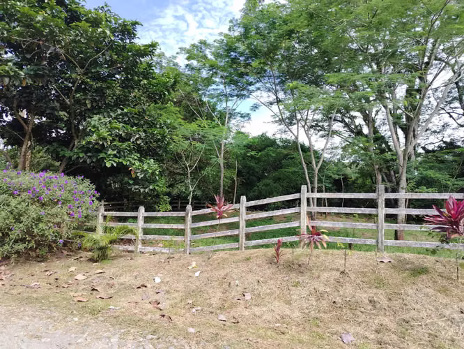 QUINTAS EN VENTA EN RÍO FRÍO,SARAPIQUI, VIVE EN ARMONÍA CON LA NATURALEZA! - Imagen 3