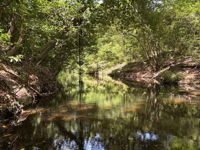 Finca de 50 ha en Venta en Bagaces, Guanacaste – $357.000 - Imagen 6