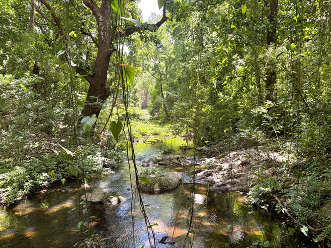 Finca de 50 ha en Venta en Bagaces, Guanacaste – $357.000 - Imagen 7