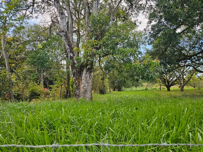 ESPARZA quinta sobre calle principal frente a … hermoso lote plano