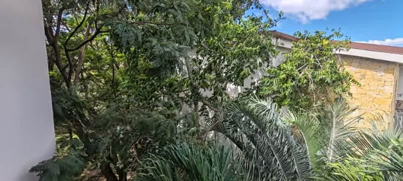 Se alquila céntrico y cómodo apartamento en Santa Ana - Imagen 15