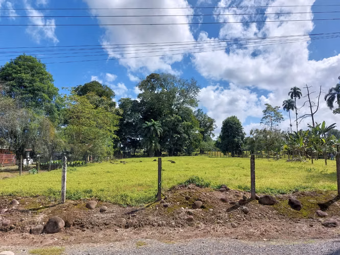 Lot for SALE in Guapiles  - Imagen 7