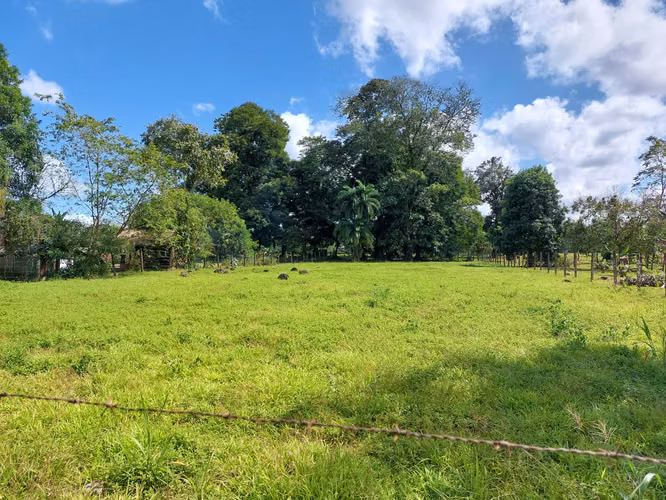 Lot for SALE in Guapiles  - Imagen 8