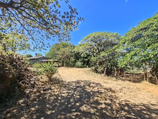 FINCA LAS FLORES NOSARA.199 HECT. TOPOGRAFÍA REGULAR. VISTAS AL OCÉANO